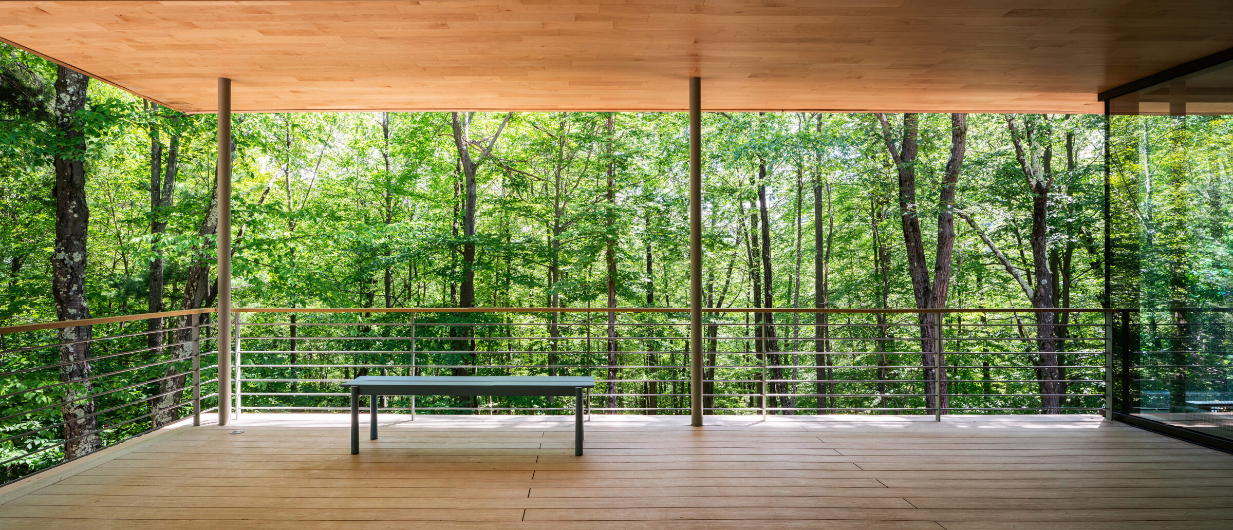 summer green view of the forest from outdoor terrace